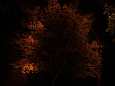 Click here to show another one