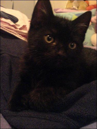 Click here to show another one