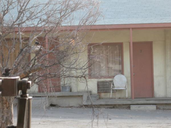 Click here to show another one