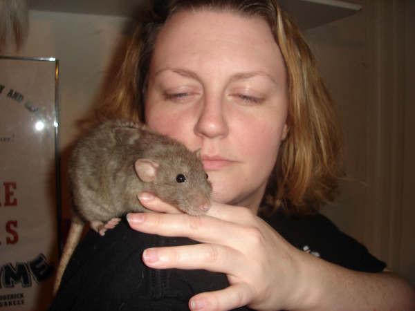 Click here to show another one